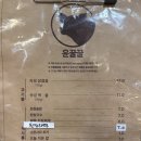 윤꿀꿀 이미지