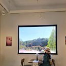 핑크파크 | 강릉 가을 여행 핑크뮬리 포토존 호린파크 방문 후기