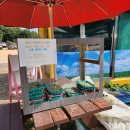 김포 자연 농장 이미지