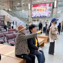 진천하나로약국 | &#34;청주 병원동행 서비스/어르신.장애인 전문 케어 매니저/무료 픽업,샌딩 지원 - &#34;월드 동행 매니저&#34;