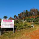 양지암 조각공원 이미지