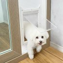 작은집 요기 | 강아지 베란다 펫도어, 요기펫 설치하고 냉난방비 걱정 끝