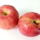 (주)로가닉 이미지