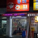 뚱이호프 | 당산 맛집 뚱이호프 방문후기 (클래식한 노가리와 호프)