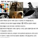 코디스코 이미지