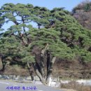 장현2리 이미지