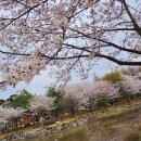 국원고등학교 이미지