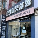 목련동물병원 | [댕댕이펫살롱] 산본 애견 미용 잘하는 곳