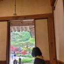 남한산성토종닭 이미지