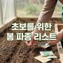 재식농장 | 봄 텃밭 파종 식물