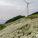 (주)태백메디칼 이미지