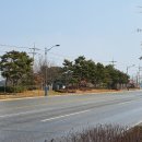 최씨 제실옆 이미지