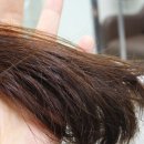 희봉선생 이미지