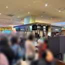 채선당 신곡점 | 신세계백화점 강남점 식품관 샤브샤브 가성비 맛집, 샤브진 내돈내산 정직 후기