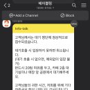 강릉초당 짬뽕순두부 이미지