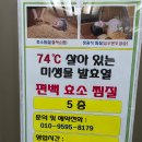편백찜질방 | 대구 찜질방 효소찜질 &lt;편백효소방&gt;내돈내산후기