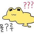 속초카츠 이미지