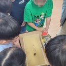 안강초등학교 | 안강초등학교 1/2/5/6학년 꿀벌알아보기 허니샴푸바만들기 체험학습 후기 입니다