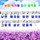 낮엔해처럼밤엔달처럼 이미지