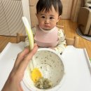 황금슈퍼 | 엘빈즈 슈퍼핏 완료기이유식 / 완벽한 6:4 단백질 황금비율! 엘빈즈로 끝장내자