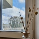 달노시 스테이 이미지