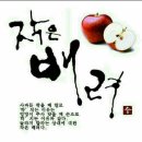 맑은사람들 Daum카페