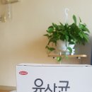 머스트메디 이미지