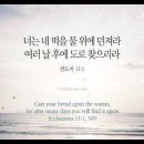오늘의 '영어성경 사진'(925강) “많은 모험들에 투자하세요”(전도서 11장 1절) 이미지