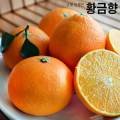 정석원농원