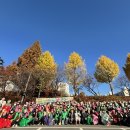 ㈜카길애그리퓨리나 | 평택시 새마을회, 5천 포기 김장 담가 복지 사각지대 이웃에 전달