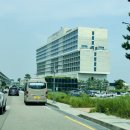 PTS GYM | 인천 ‘네스트 호텔’ 성수기 가격 [Standard Double] - Seaside View 1박2일 조식, Night 버블파티 후기