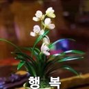 아름다운 행정사 이미지