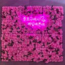 (주)스파렉스 | 서울데이트코스 찜질방 추천 스파렉스 메가스퀘어 동묘점 주차 가격 정보 후기