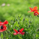 하남체육공원 이미지