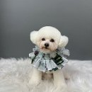 멍타주 이미지