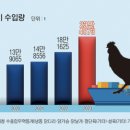 한국가금(주) 이미지