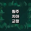 원주시 치아교정 잘하는 전문치과 병원 추천 | 비용 후기 설측교정 돌출입 앞니 투명 무턱 부분 교정기...
