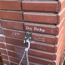 블루우드 | 광안리 감성카페 블루코스모스 후기｜우드톤 분위기 좋은 아기자기한 카페