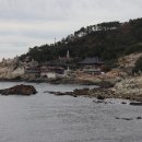 해동막국수 Daum카페