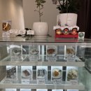 몰래멍냥 이미지