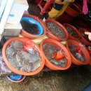 청해노래연습장 이미지