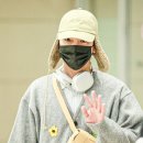 샤이니플라워 이미지