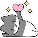 디어마루 이미지