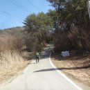 구룡교