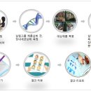 건강식품연구원 이미지
