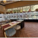 멋진강아지 이미지