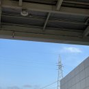 세븐일레븐 강릉아산병원점 | 강릉아산병원 자궁내막용종제거술(소파술) 하고 온 후기