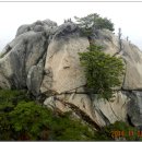 에덴동산 이미지