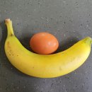 강남피티 이미지