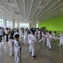 세종의 아침 태권도 이미지